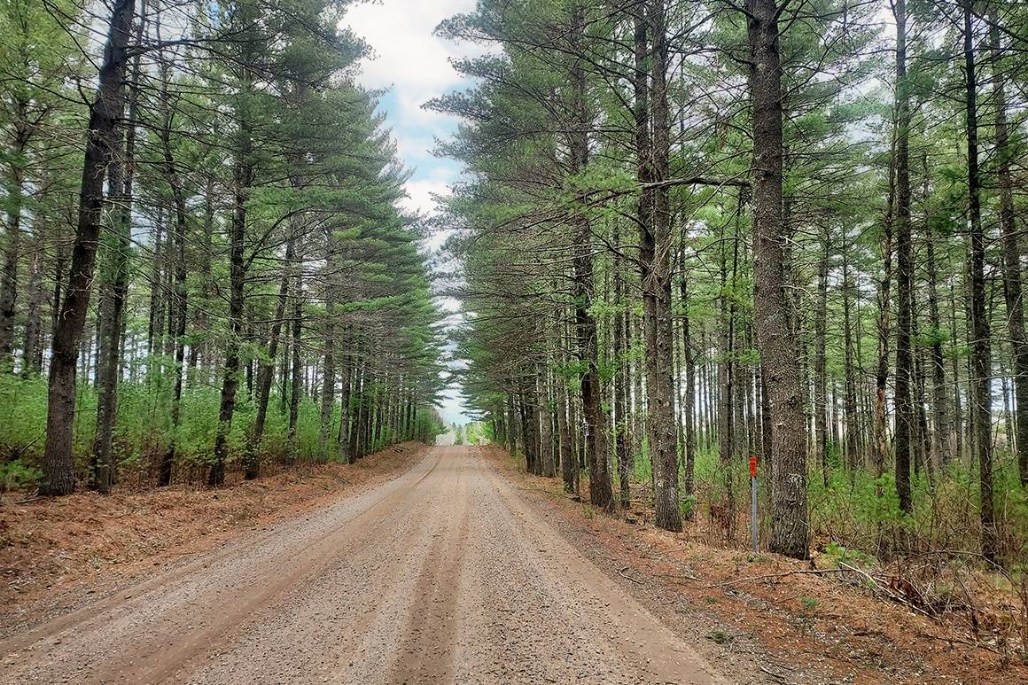 9 Swamp Lake Road, Tomahawk, WI 54487 (For Sale MyStateMLS Listing