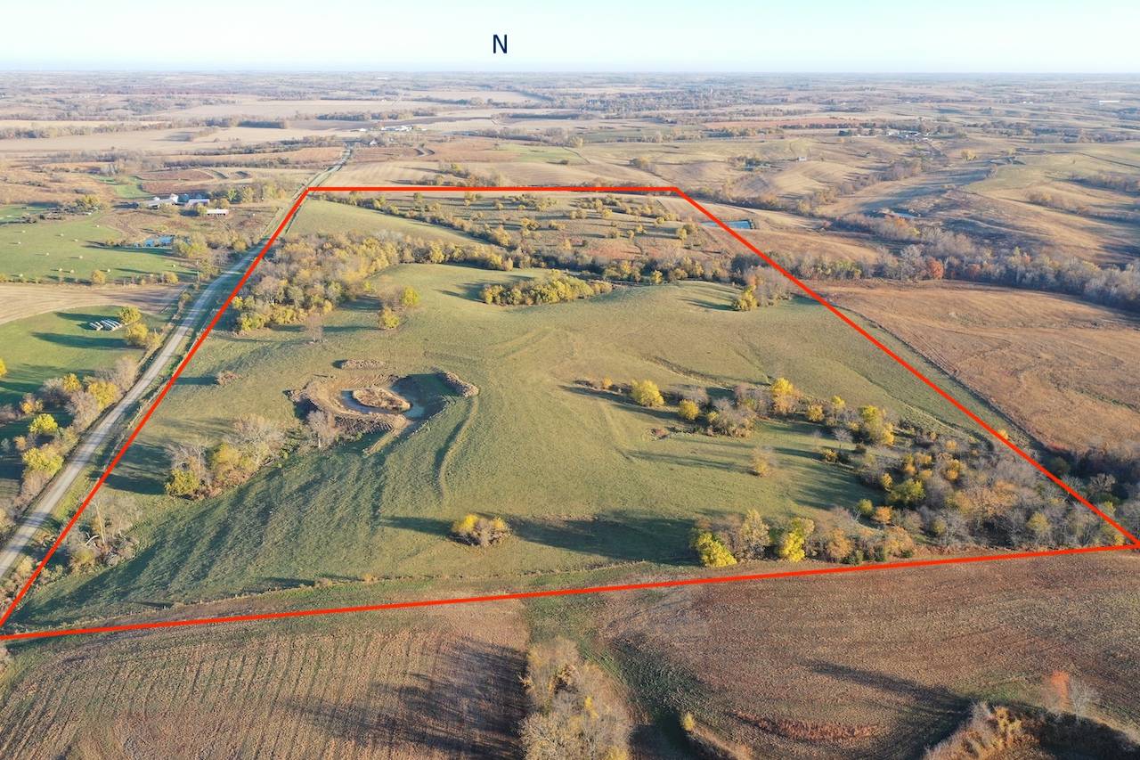 80-Acre Hunting Land for Sale, Taylor County, IA, photo 3 of 4