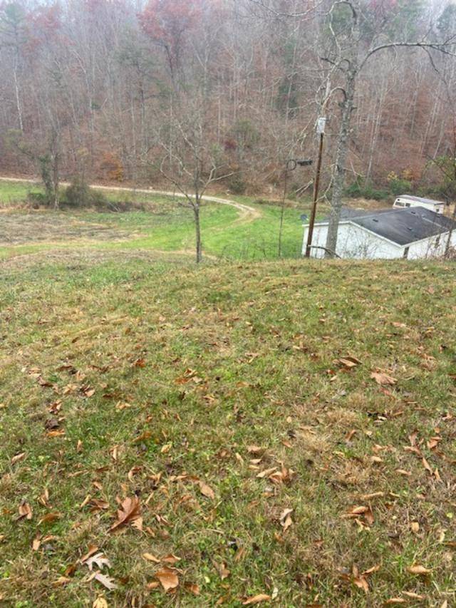 573 June Creek Road
