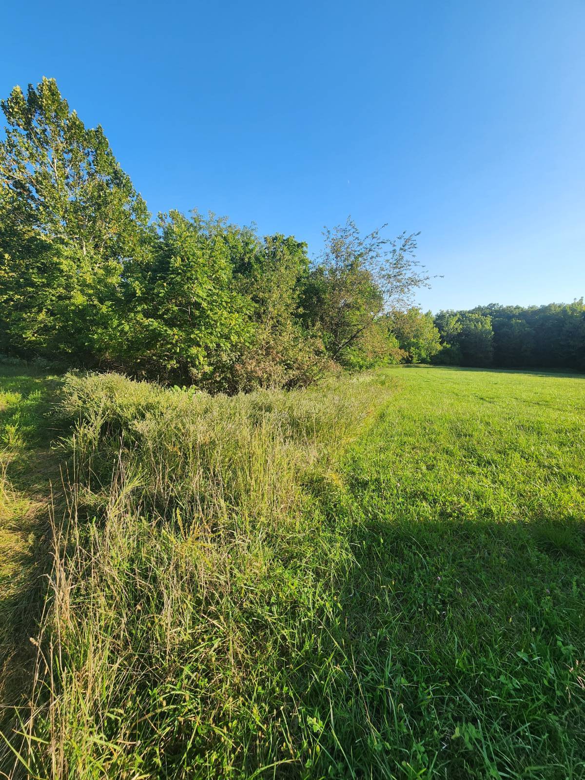 Recommended properties