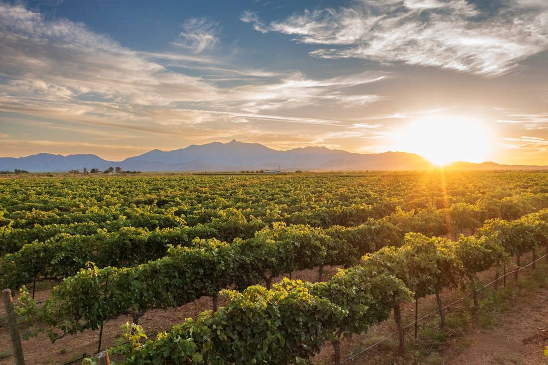 1580 Dekalb Ave, Brooklyn, NY, 11237