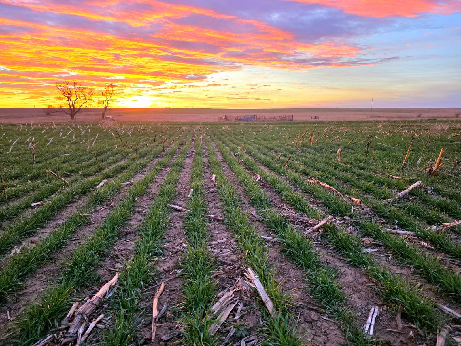 A-10; 100 Prairie View Cov