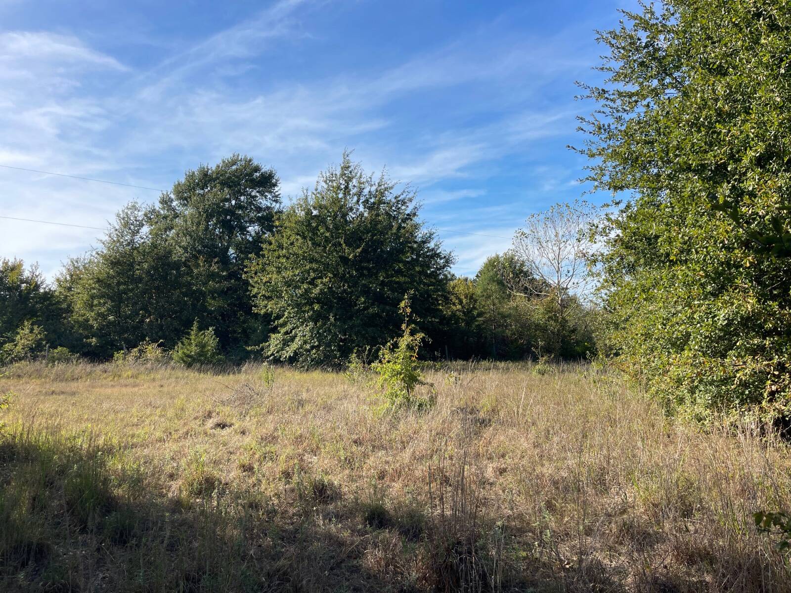 Photo 3 of 31 of land for sale at 1100 Willow Bend Lane, Atoka, OK 74525