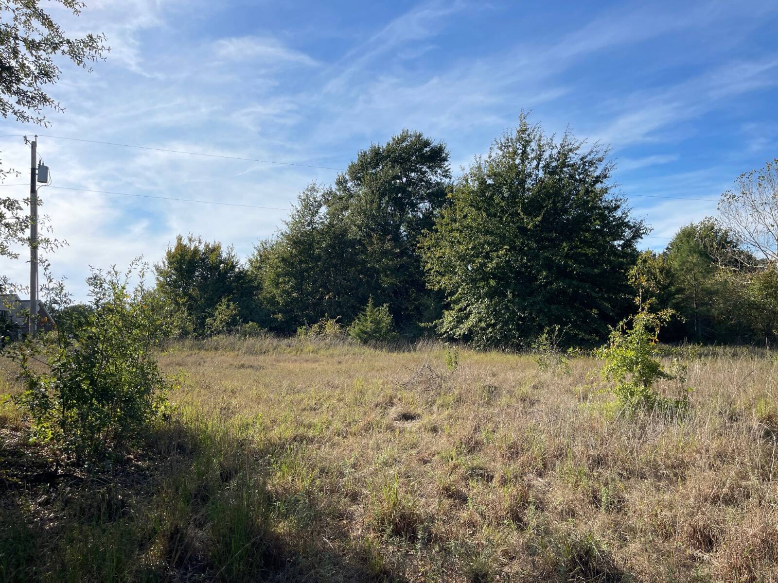 Photo 5 of 31 of land for sale at 1100 Willow Bend Lane, Atoka, OK 74525