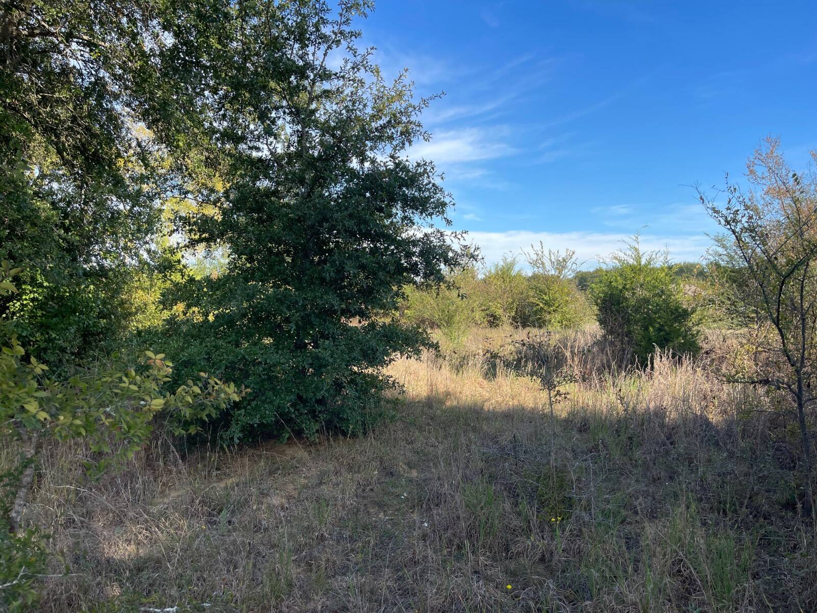Photo 1 of 31 of land for sale at 1100 Willow Bend Lane, Atoka, OK 74525