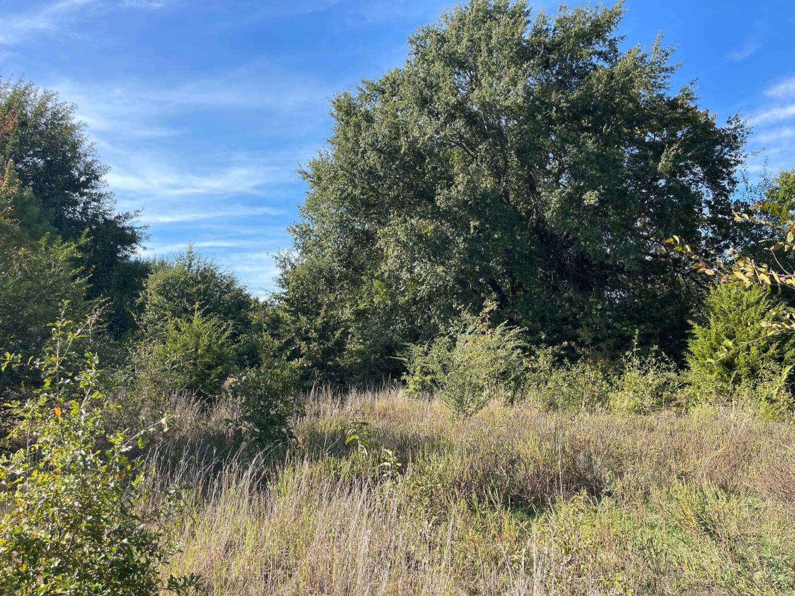 Photo 4 of 31 of land for sale at 1100 Willow Bend Lane, Atoka, OK 74525