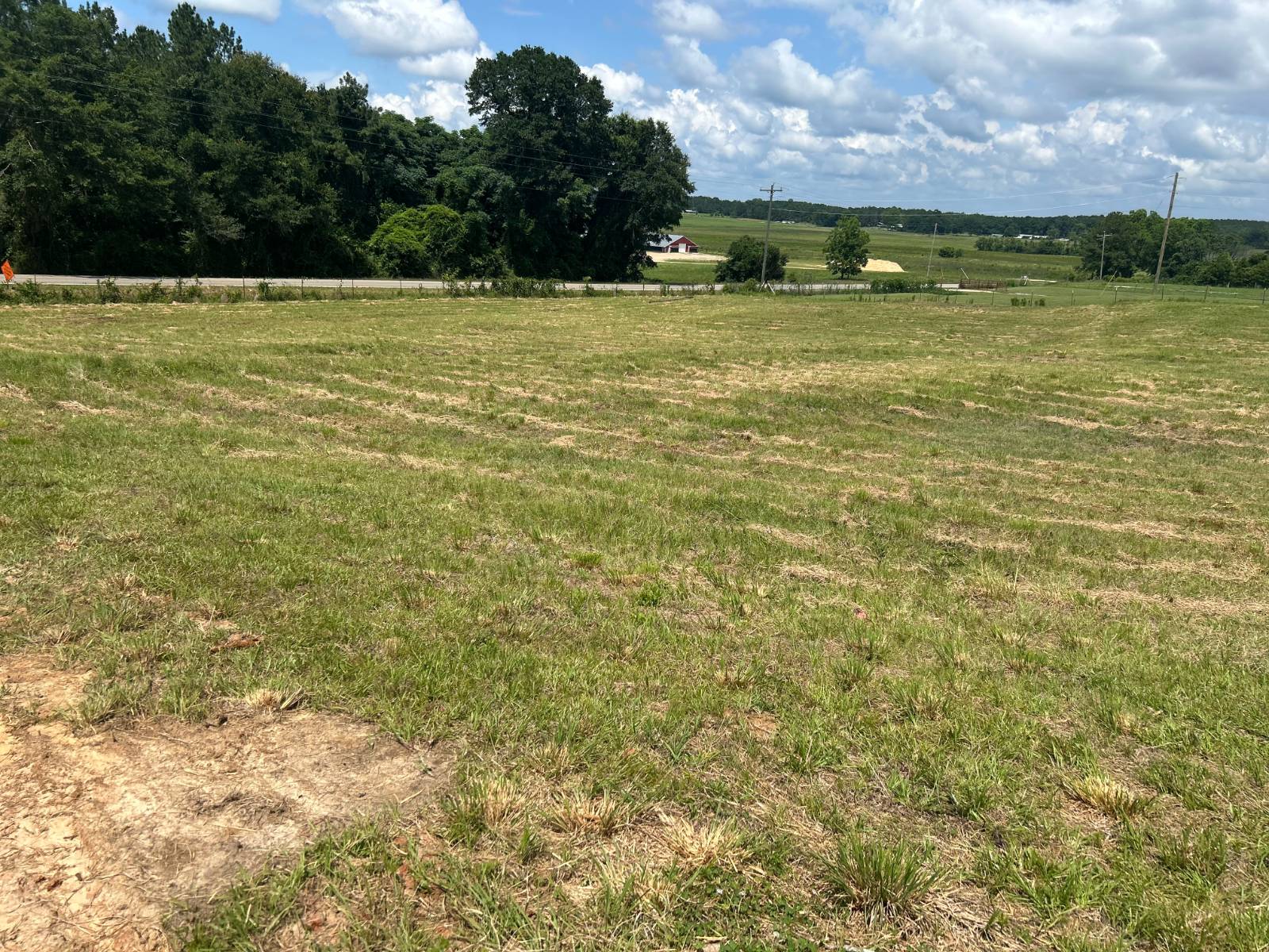 Photo 2 of 2 of land for sale at 0 County Road 2276, Glenwood, AL 36034