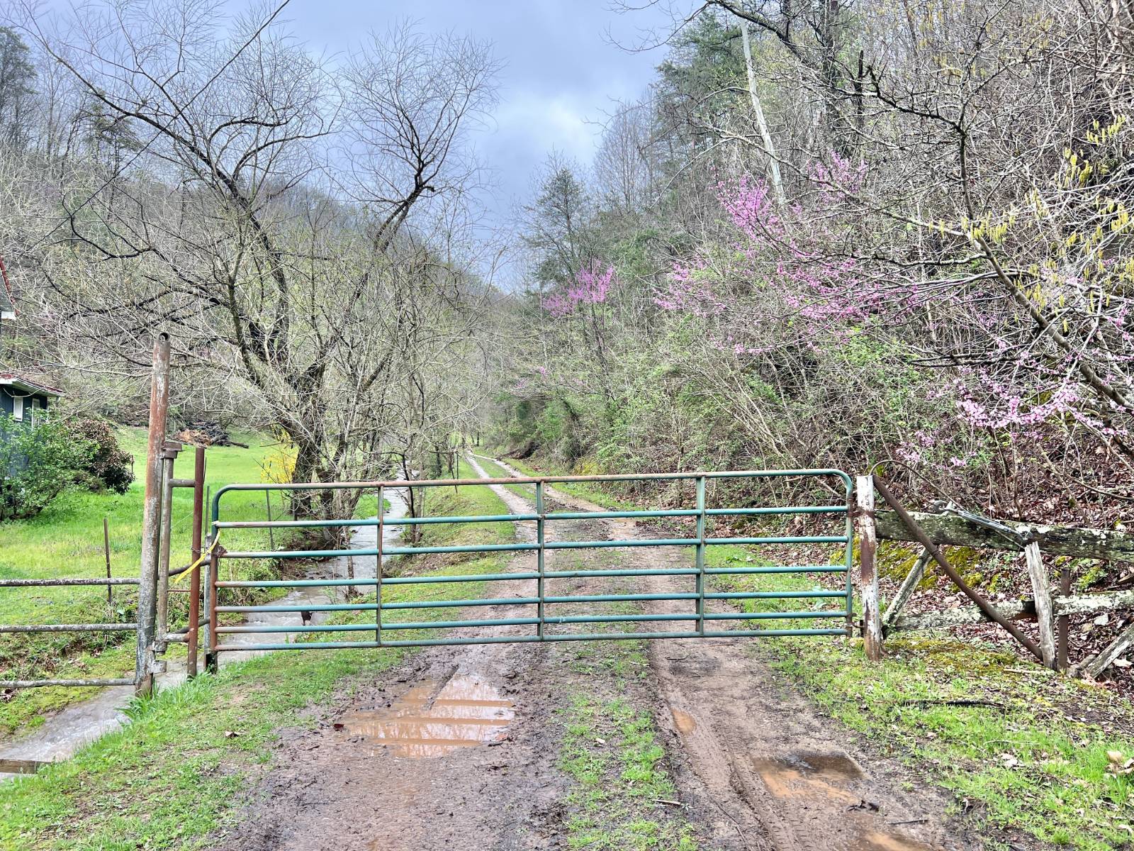35 +/- Acre Calhoun County...