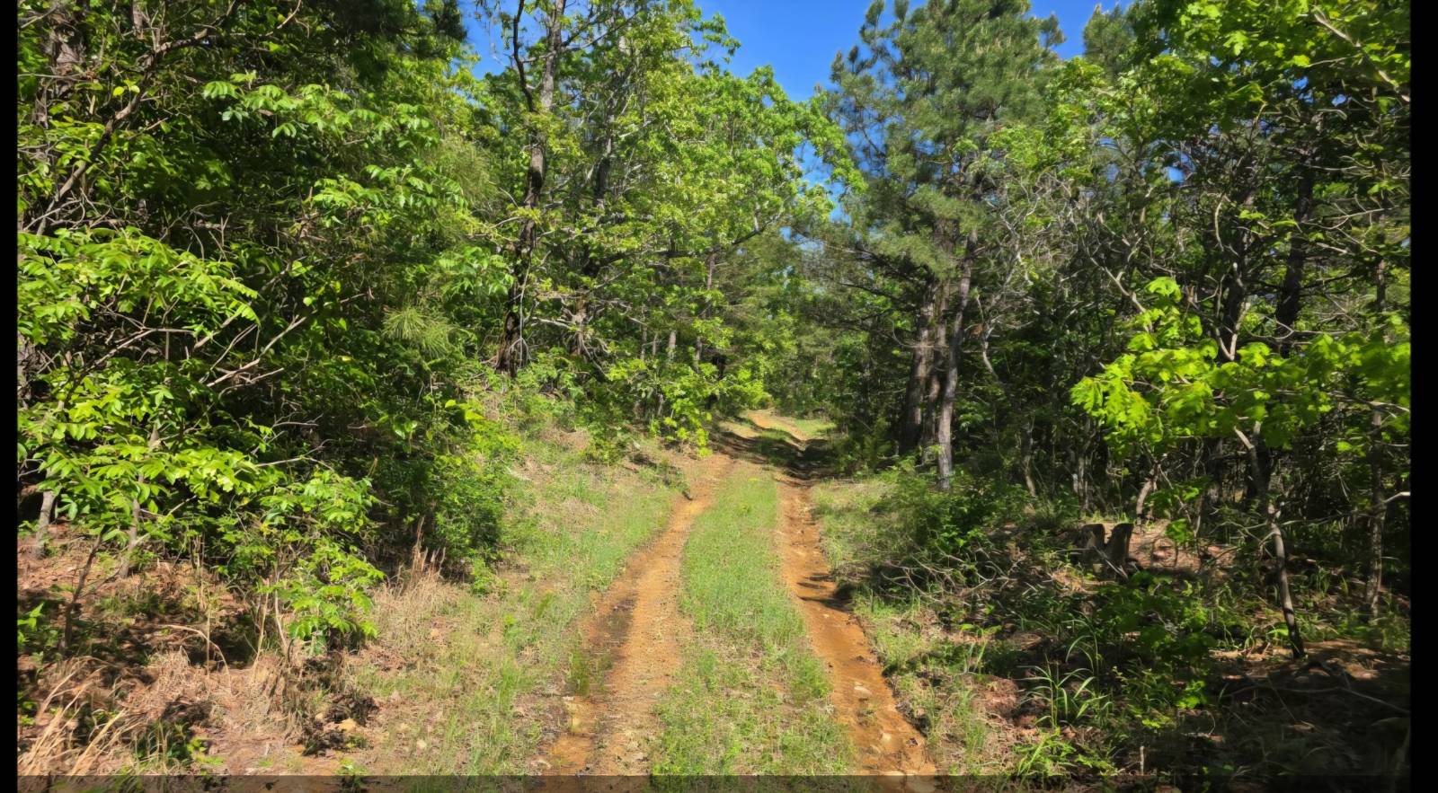40-Acre Hunting Land for Sale, Pushmataha County, OK, photo 3 of 4