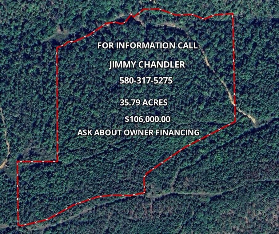 35.8 acres in Pushmataha County, OK: hunting land for sale near Albion, OK