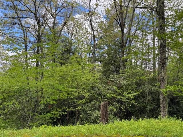 Photo 3 of 4 of land for sale at tbd Royal Pines Drive #5, Pineola, NC 28662