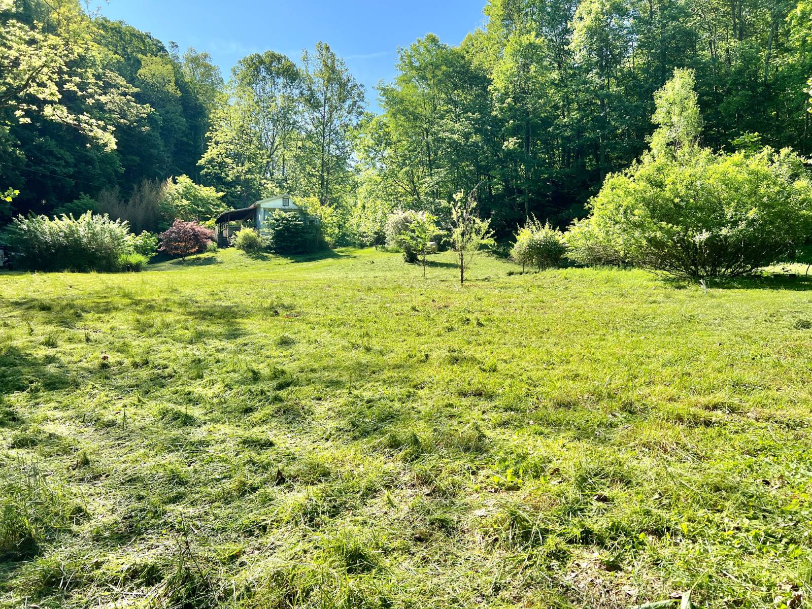 29 +/- Acre Nicholas Count...