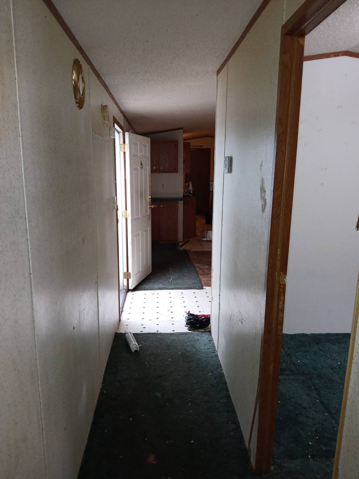 11509973-fhdtyH45YKv5FRZv.jpg