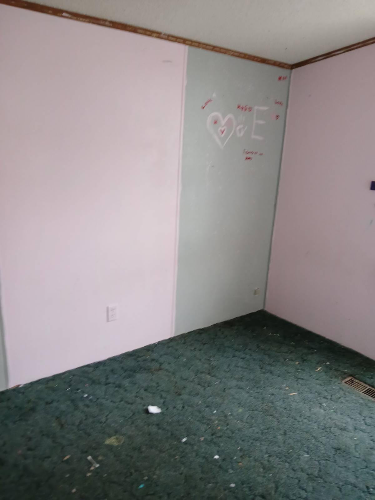 11509973-mkhgjy651CzRmyv7.jpg