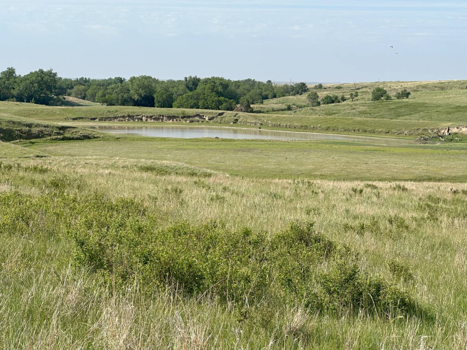 Photo 5 of 6 of land listing at 0 I Road, Bloomington, NE 68929