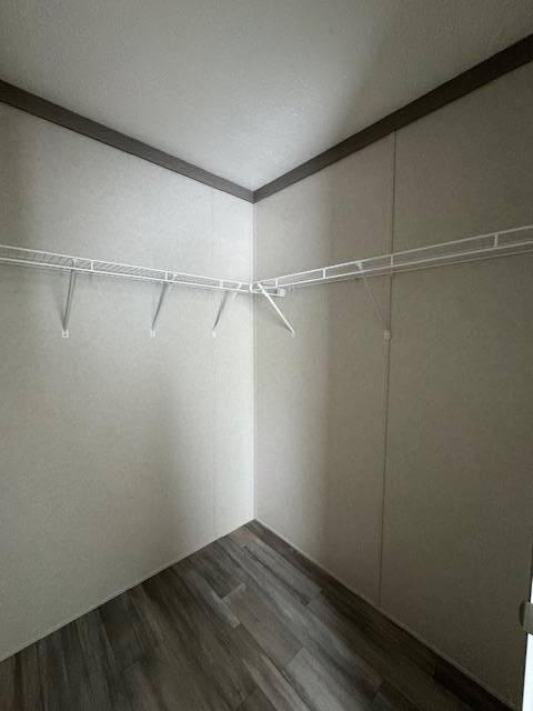11518185-5bM34Vl3Q9qQyHJ7.jpg