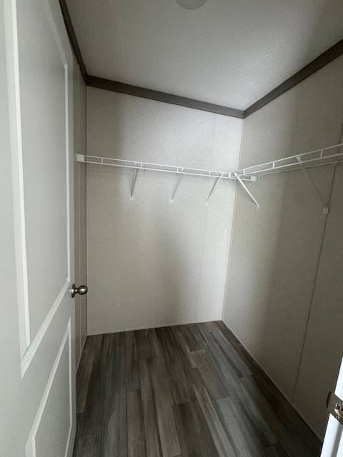 11518185-S42WWB7BYww3ZLZ8.jpg