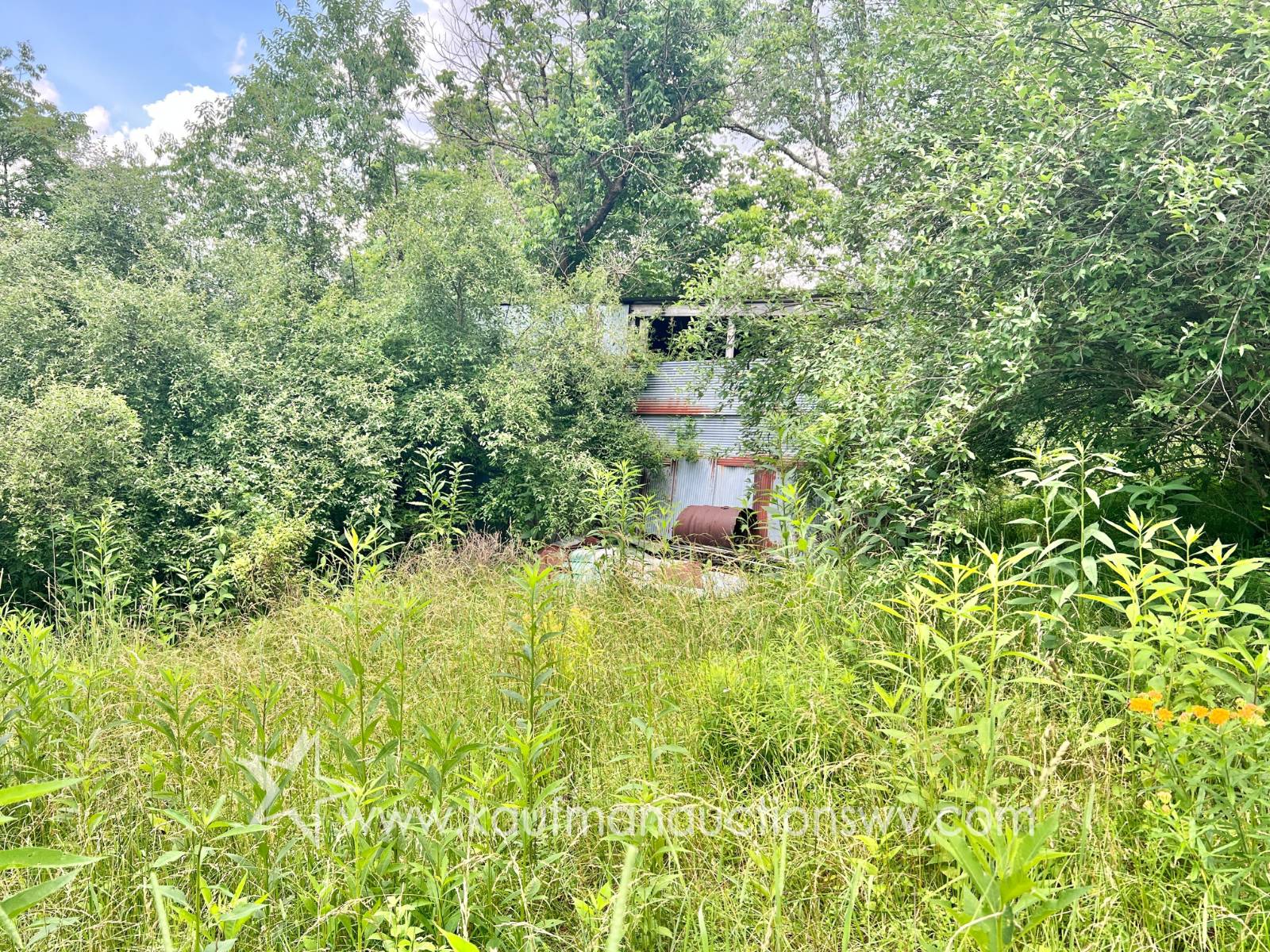 Gallery Image 58
