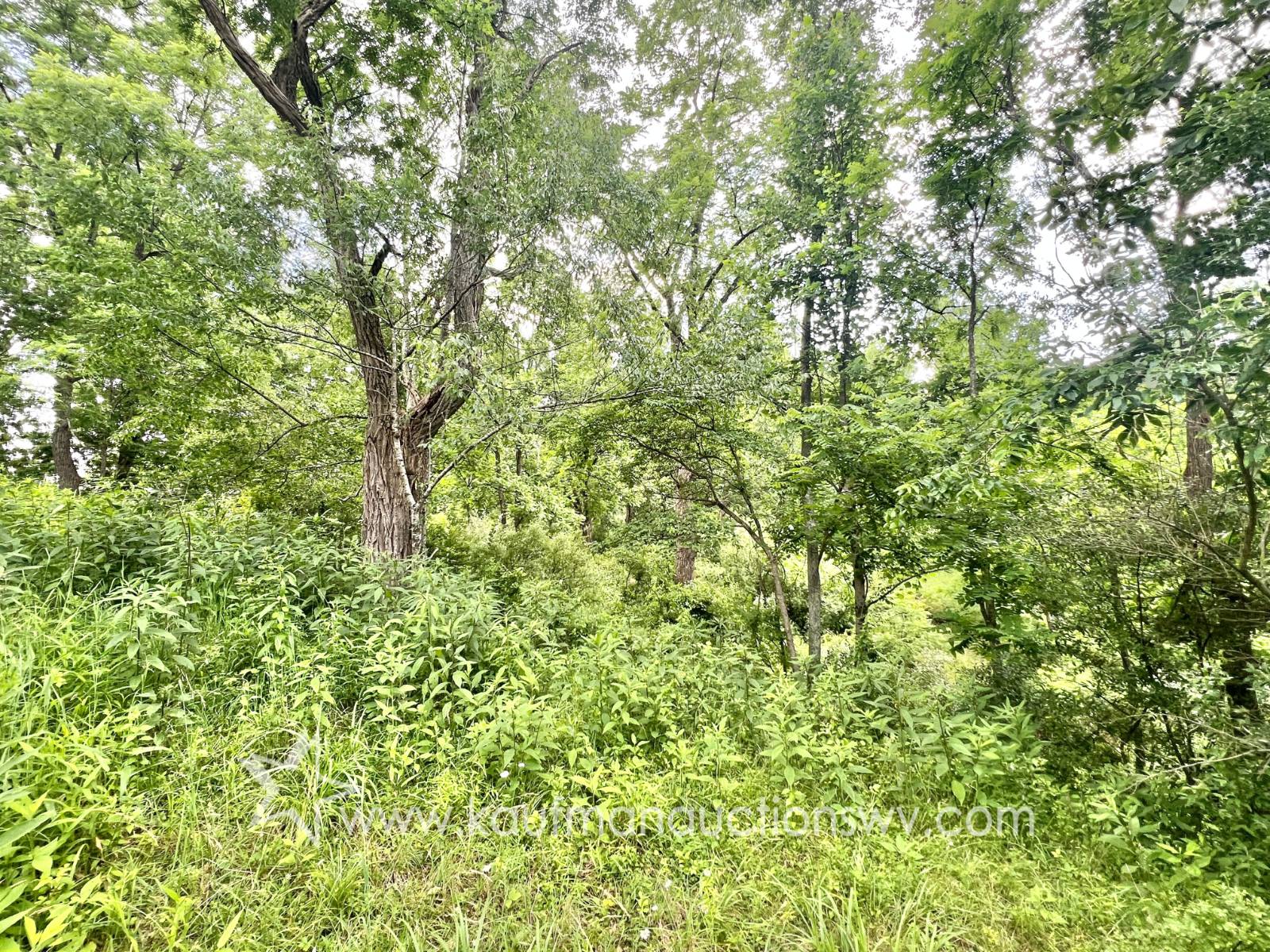 Gallery Image 56