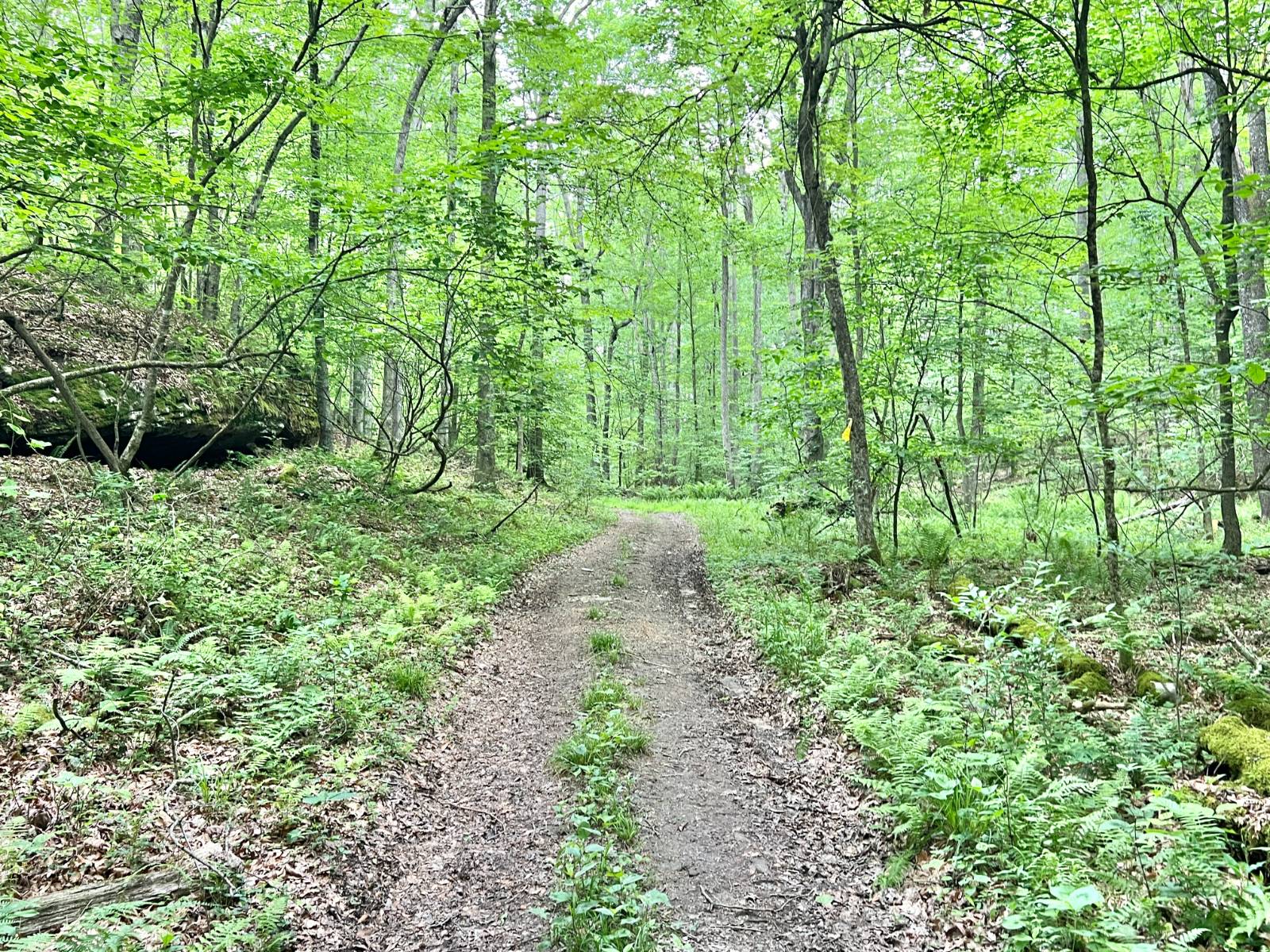 Gallery Image 14