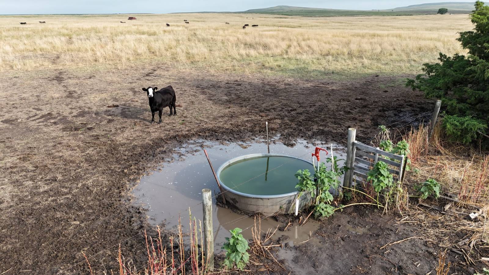 0000 V Rd, Hunter, KS, 67452