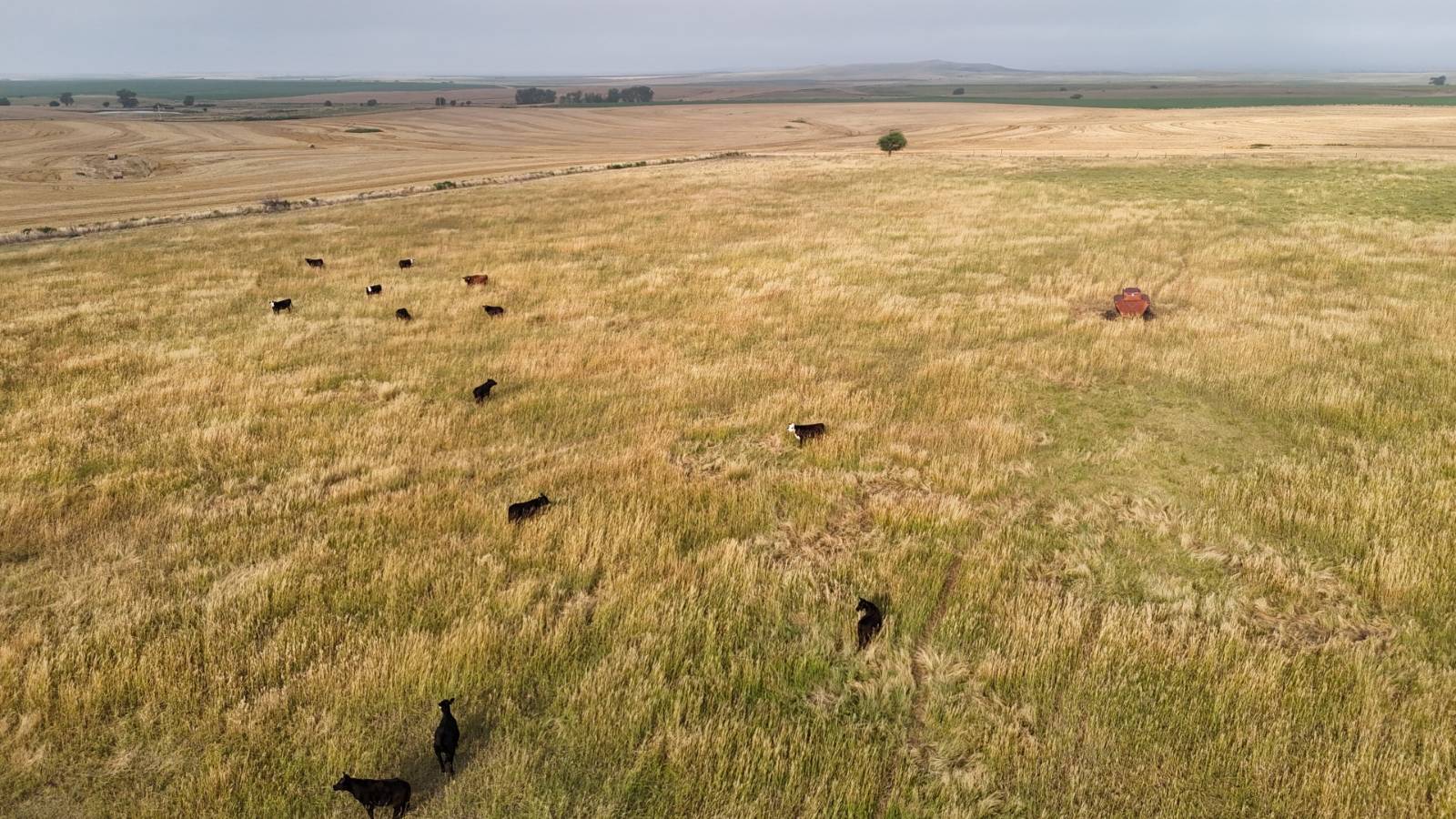 0000 V Rd, Hunter, KS, 67452