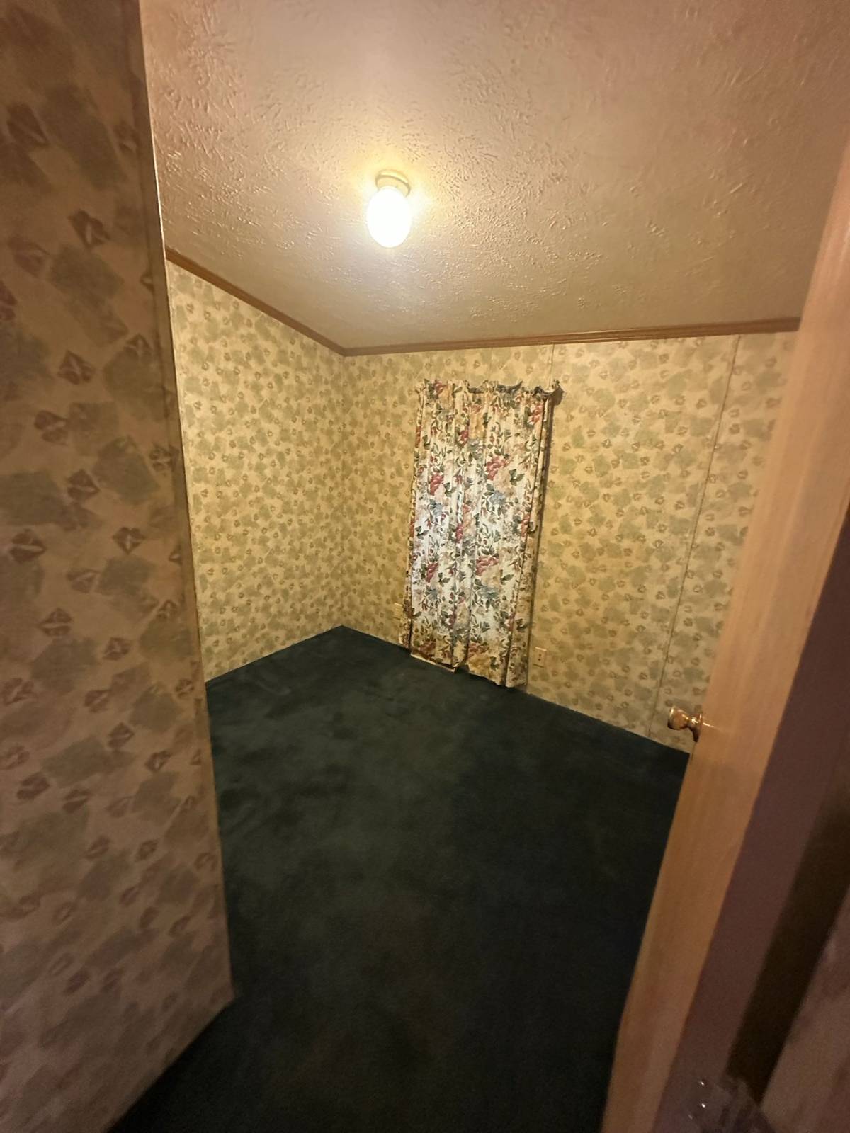 11535678-V3cQ4QkDKYjBj85p.jpg