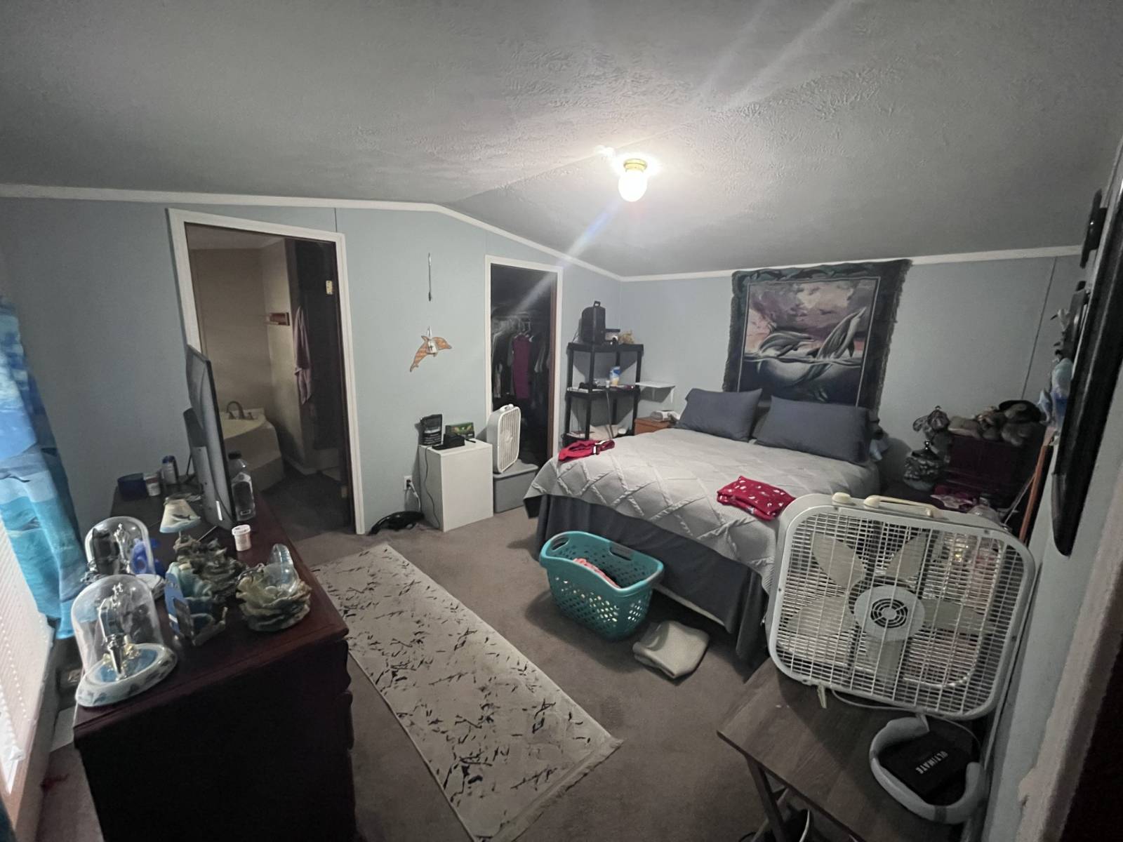 11553563-ShZ25FGZfp4t6Q8H.jpg