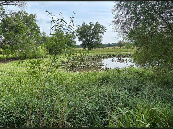 2434 4000 Rd, Chetopa, KS, 67336