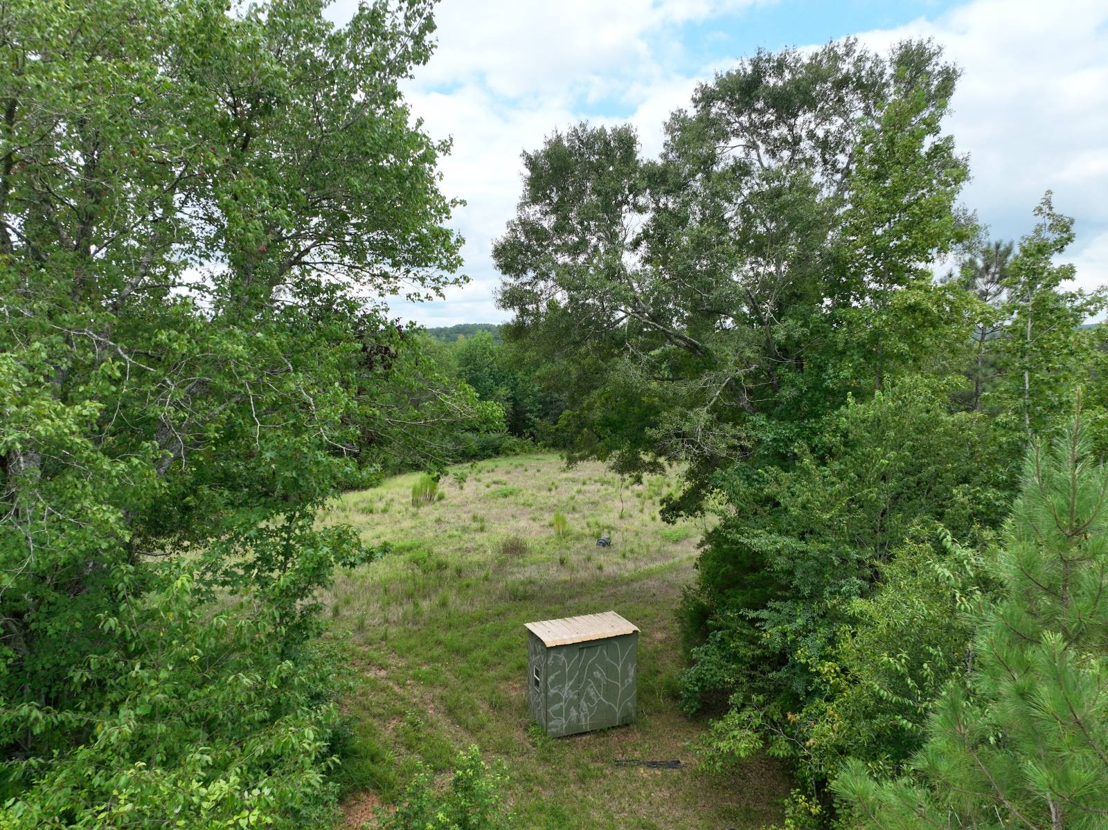 1434 County Road 864, Wadley, AL, 36276