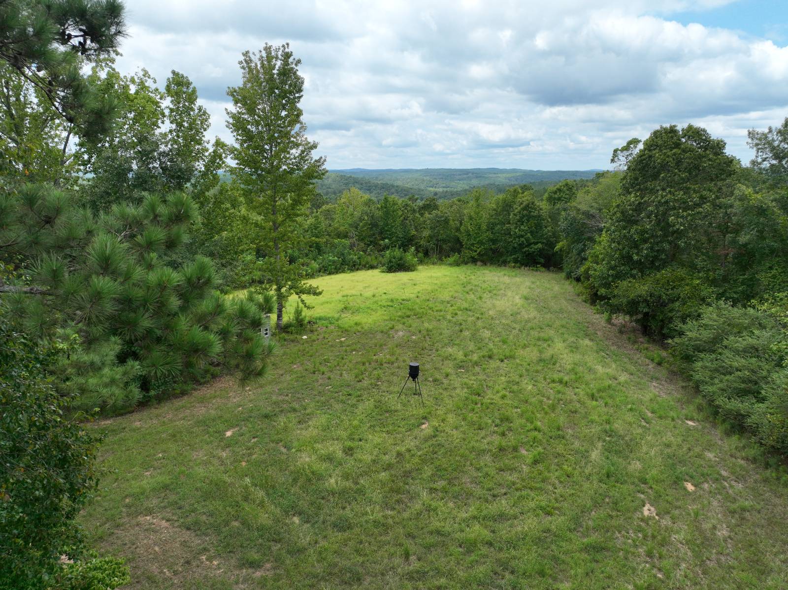 1434 County Road 864, Wadley, AL, 36276