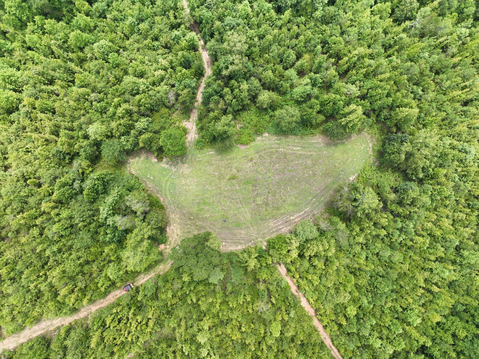 1434 County Road 864, Wadley, AL, 36276