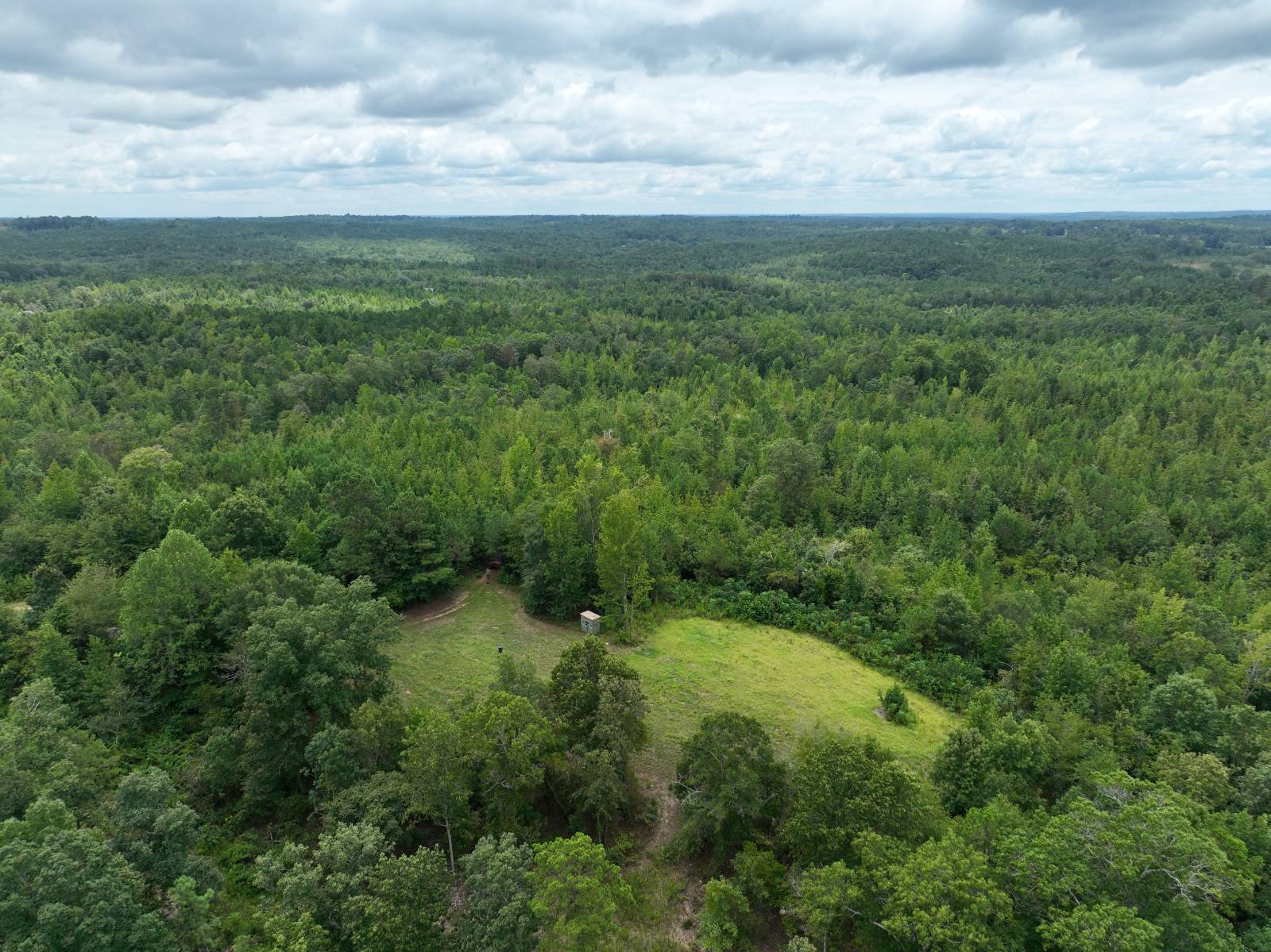 1434 County Road 864, Wadley, AL, 36276