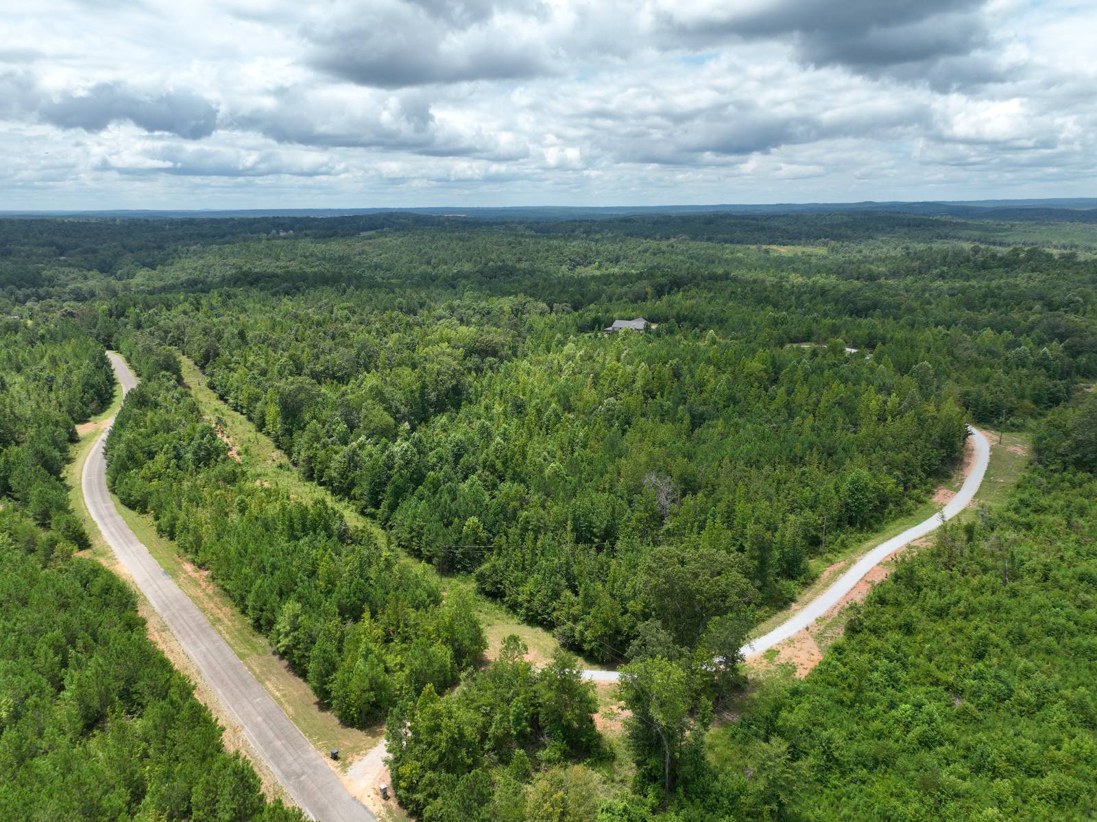 1434 County Road 864, Wadley, AL, 36276