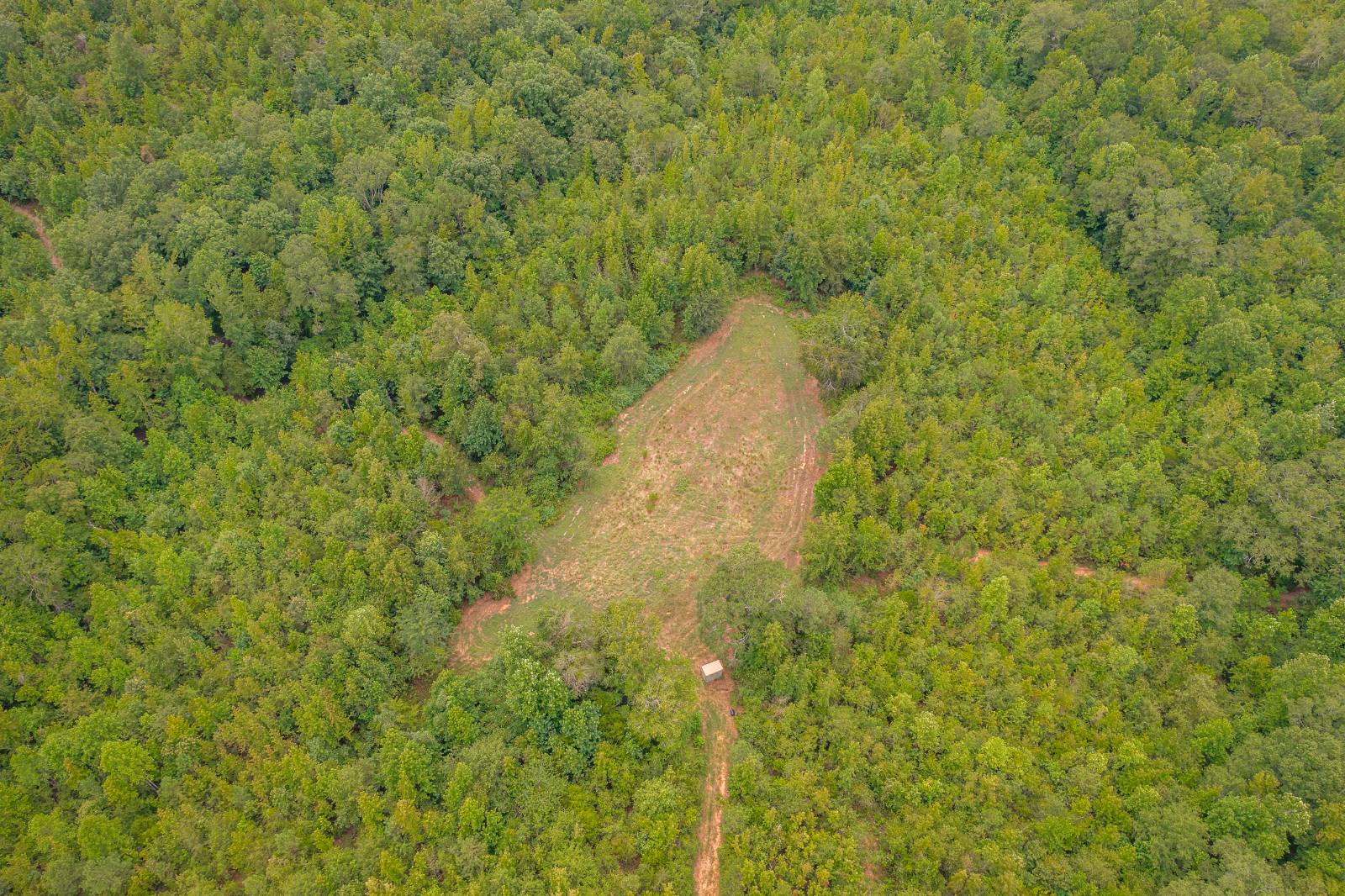 1434 County Road 864, Wadley, AL, 36276