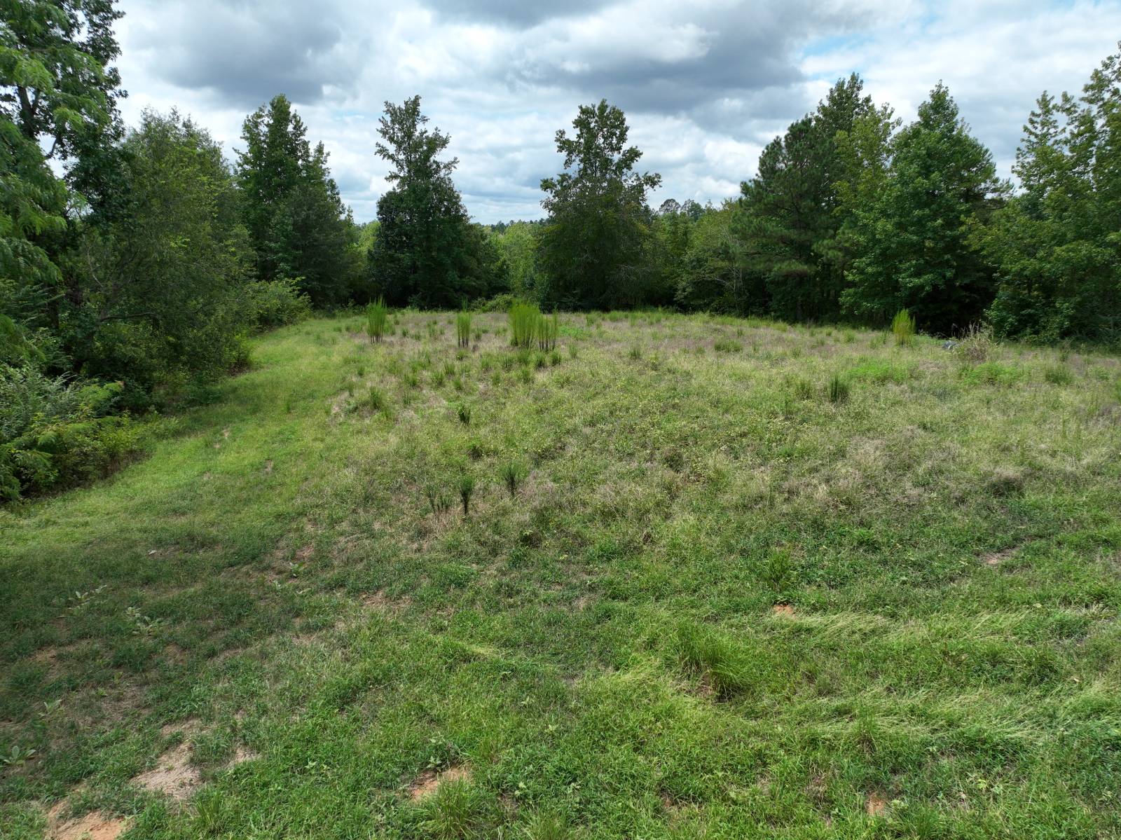 1434 County Road 864, Wadley, AL, 36276