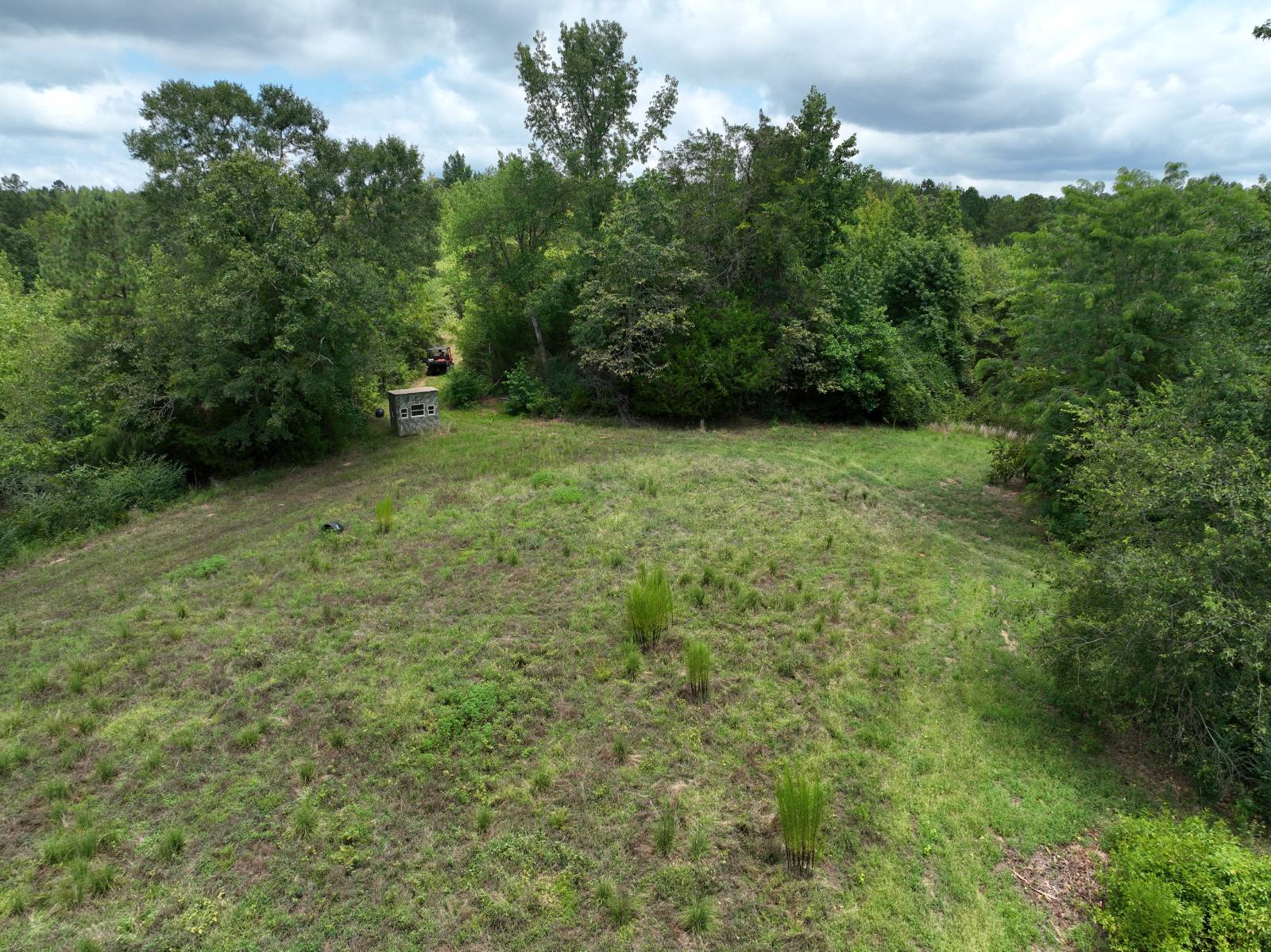 1434 County Road 864, Wadley, AL, 36276