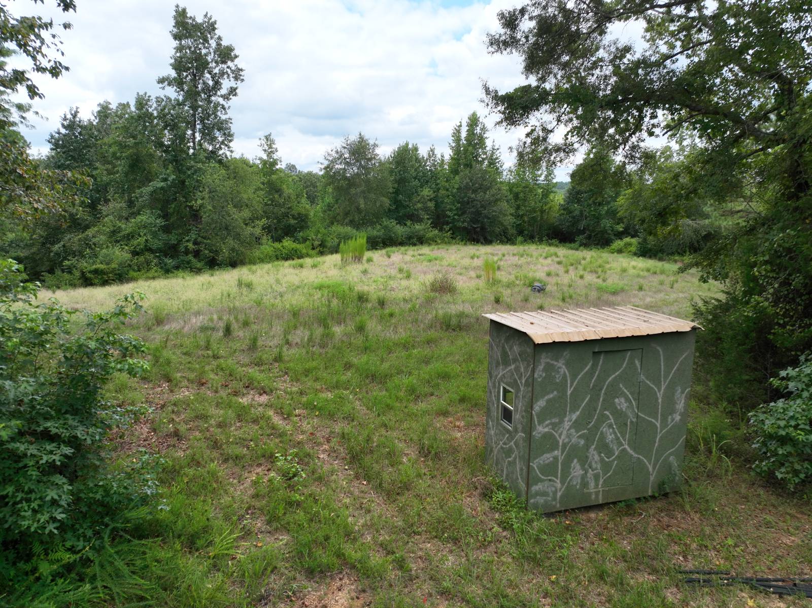 1434 County Road 864, Wadley, AL, 36276