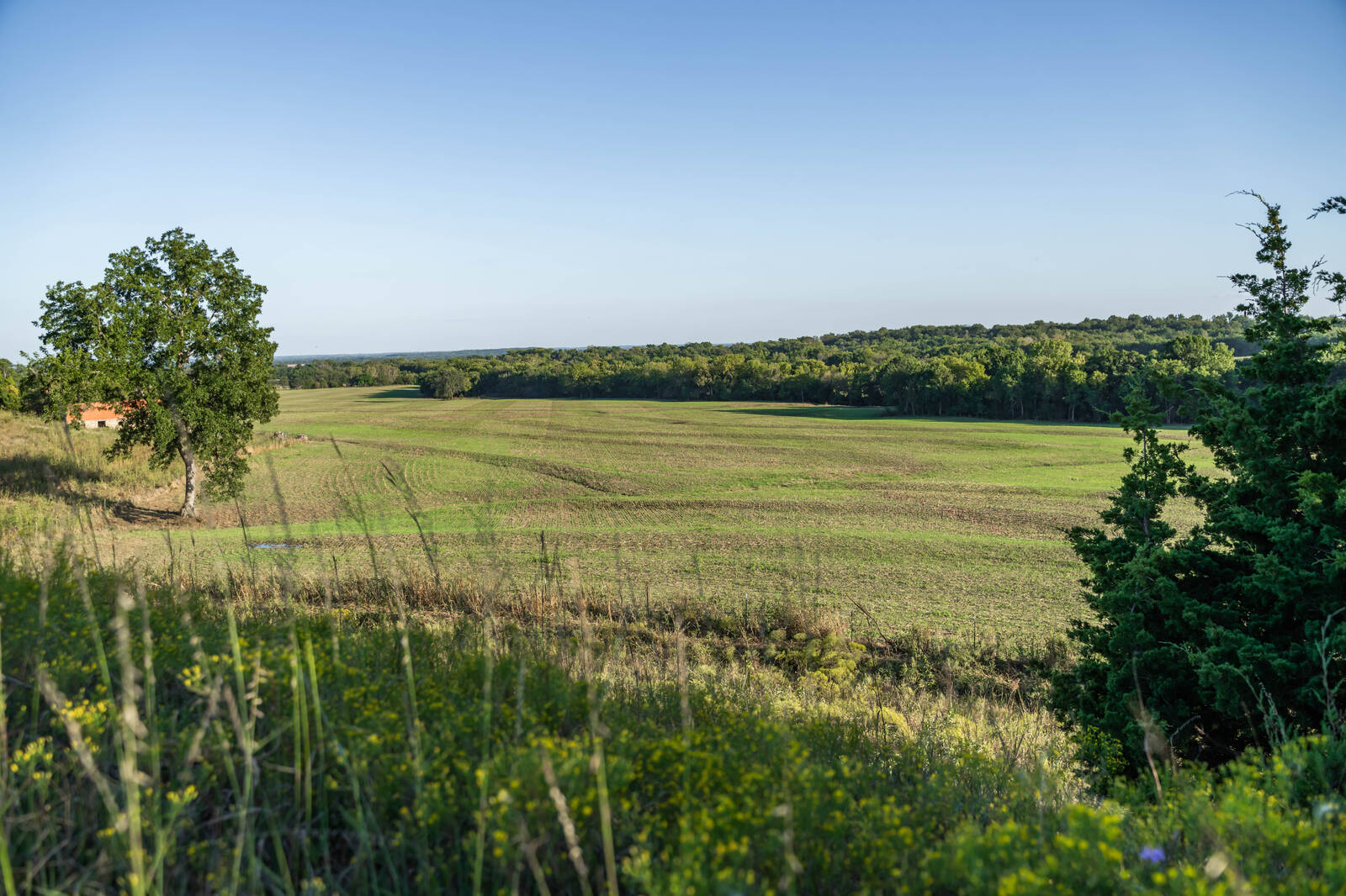 14043 K47 Hwy, Fredonia, KS, 66736