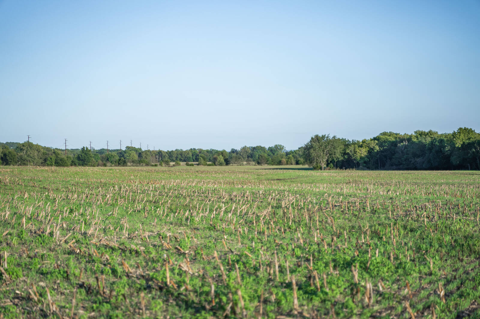 14043 K47 Hwy, Fredonia, KS, 66736