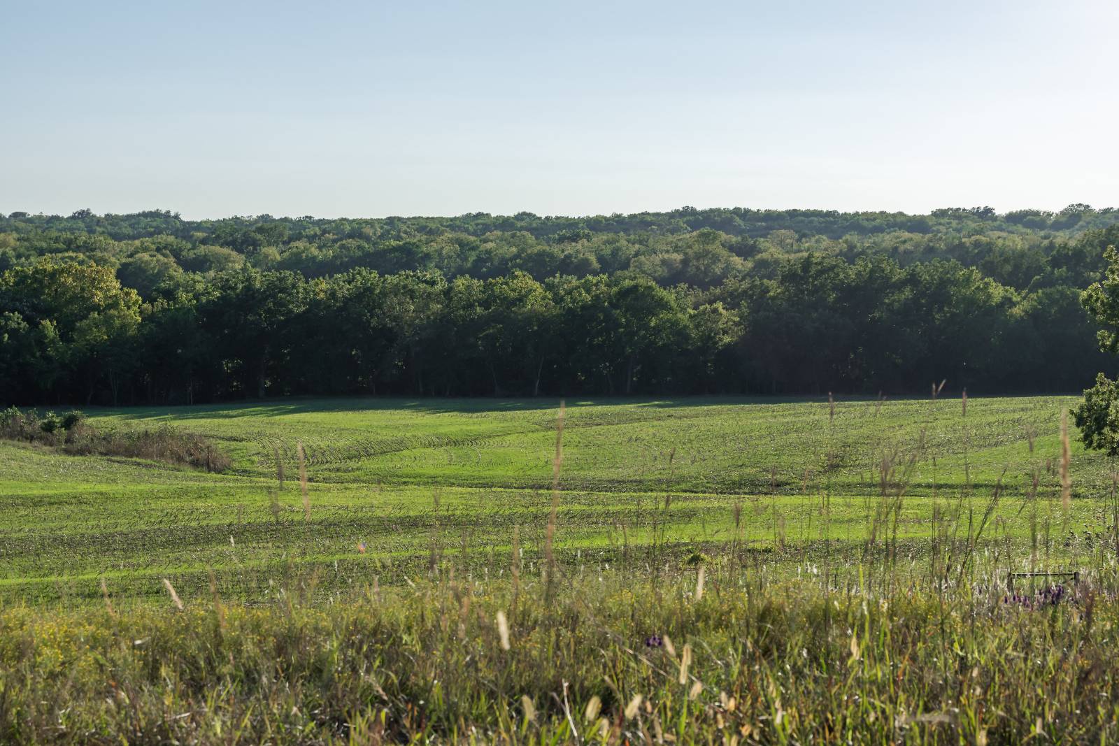 14043 K47 Hwy, Fredonia, KS, 66736