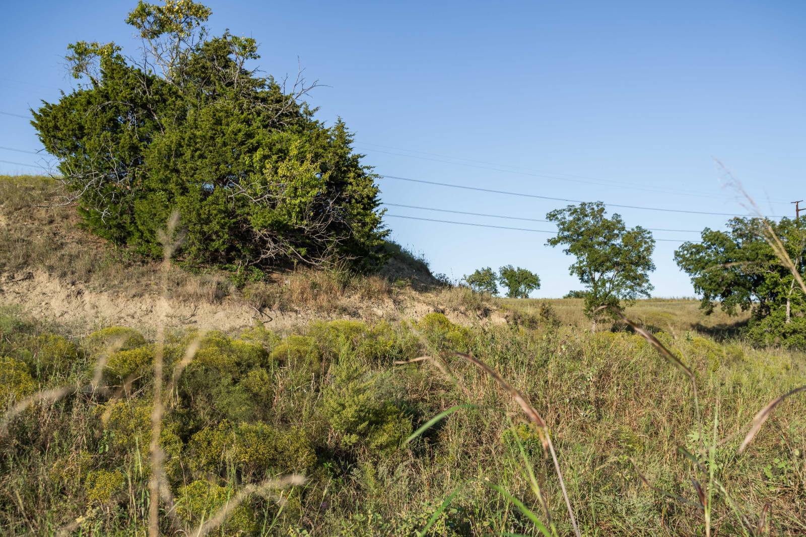 14043 K47 Hwy, Fredonia, KS, 66736