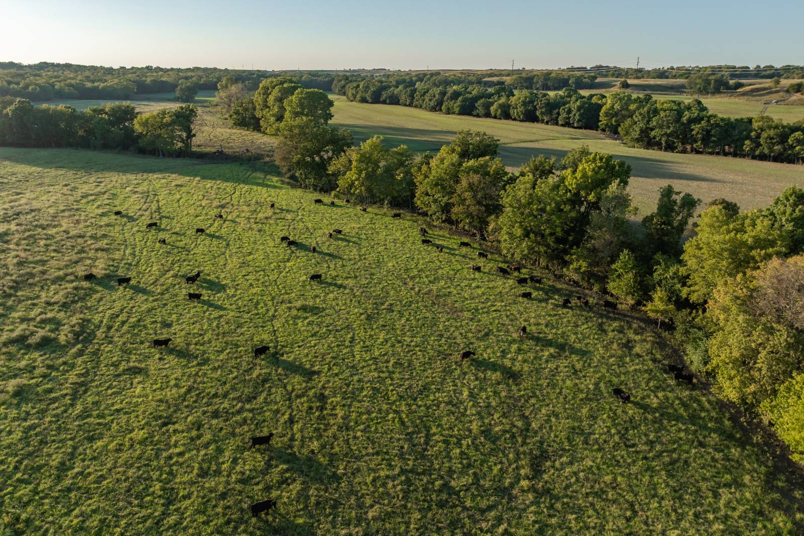 14043 K47 Hwy, Fredonia, KS, 66736