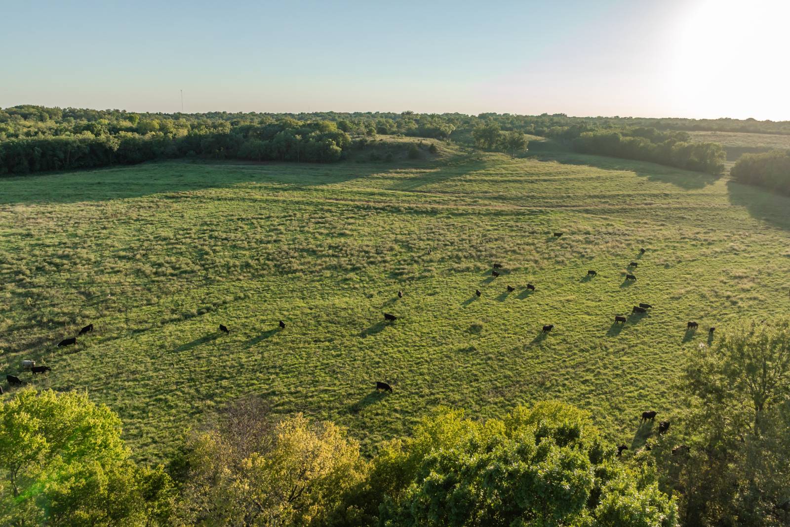 14043 K47 Hwy, Fredonia, KS, 66736