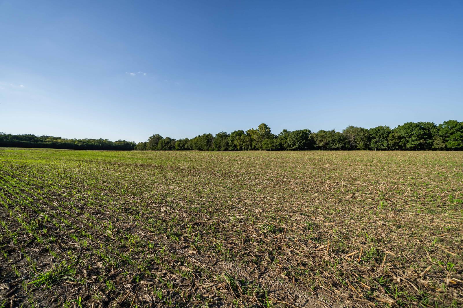 14043 K47 Hwy, Fredonia, KS, 66736