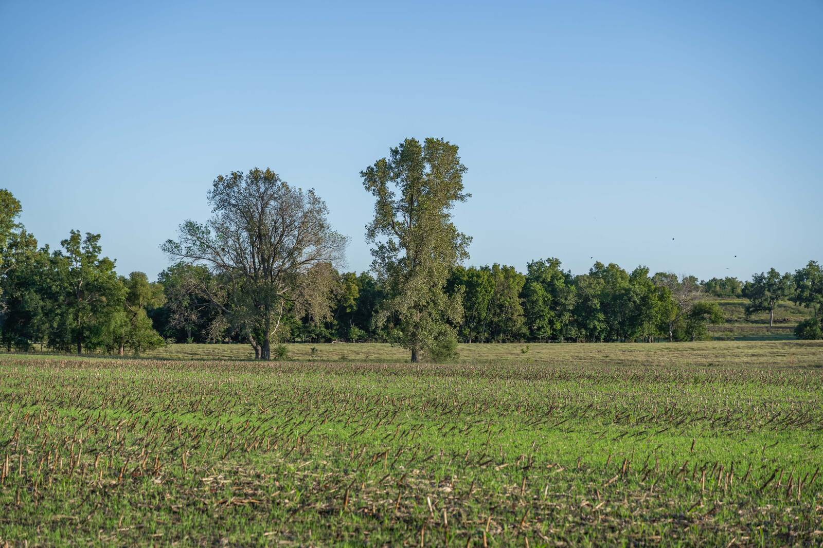 14043 K47 Hwy, Fredonia, KS, 66736