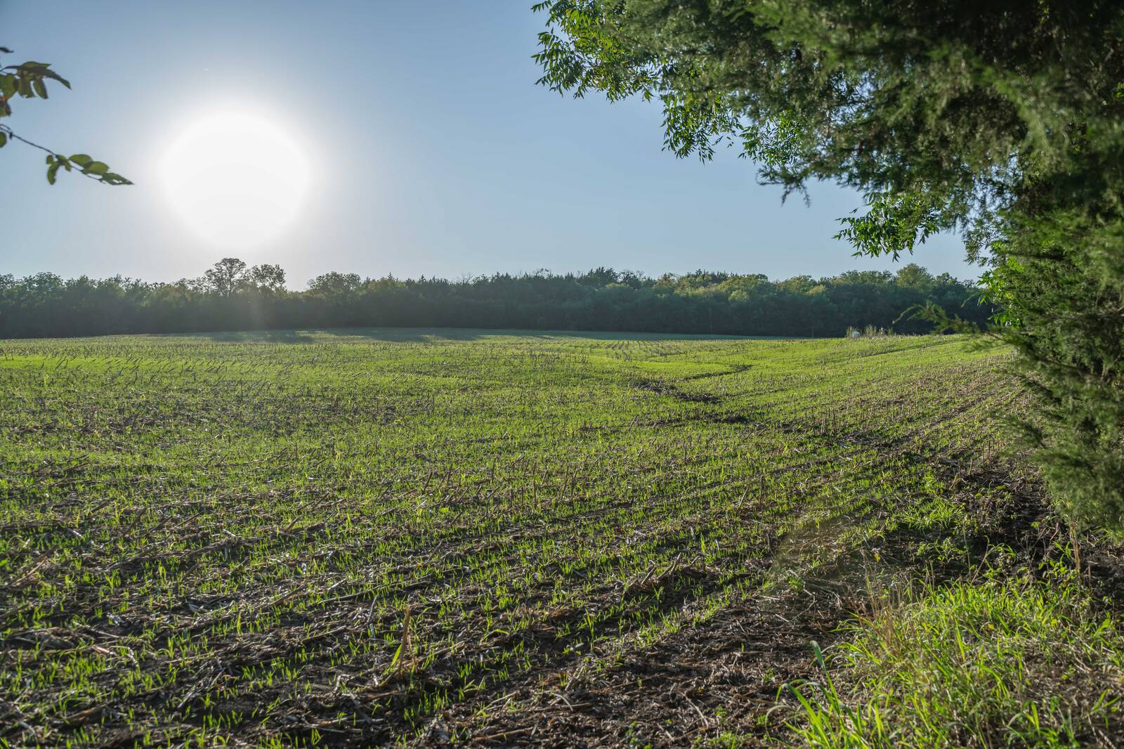 14043 K47 Hwy, Fredonia, KS, 66736