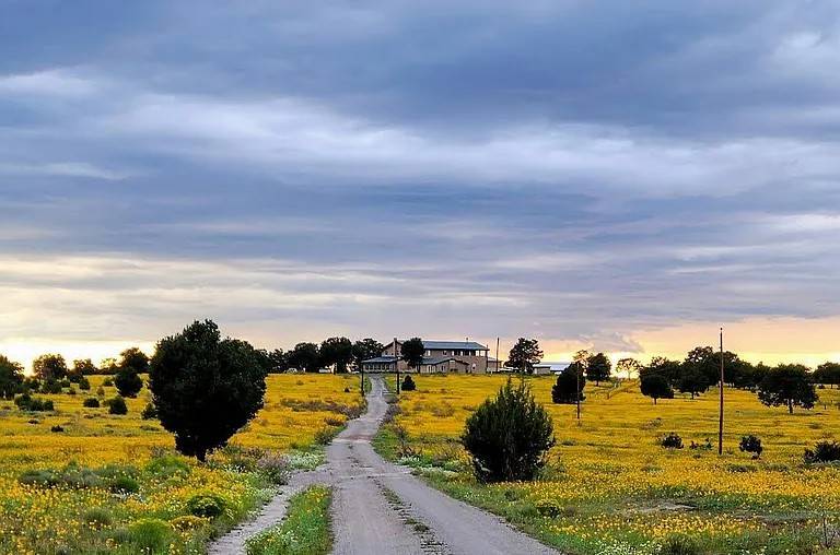 661 East 87th Street, Brooklyn, NY, 11236