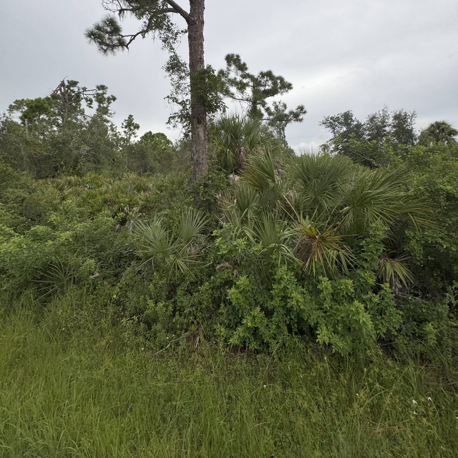 Port Charlotte