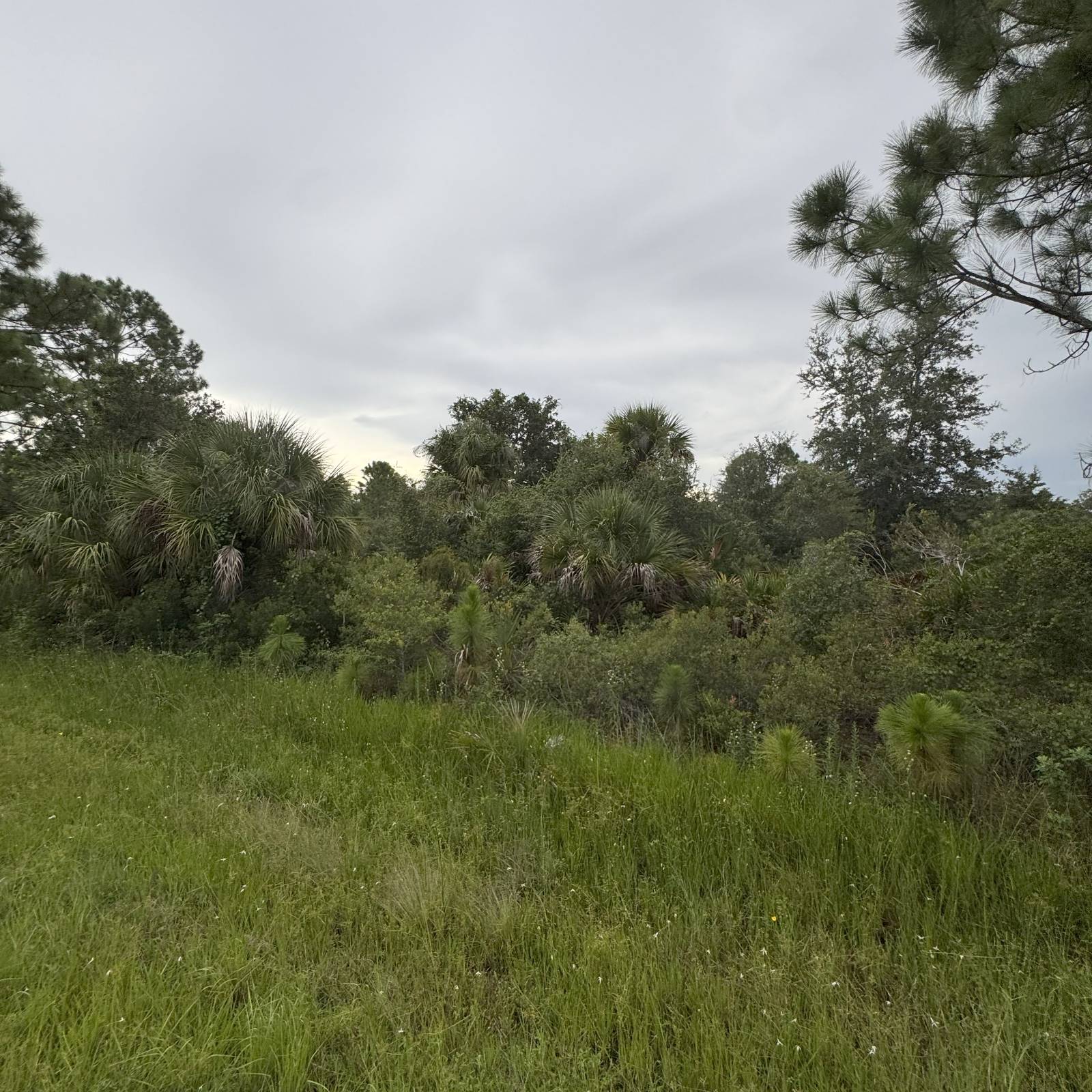 Port Charlotte